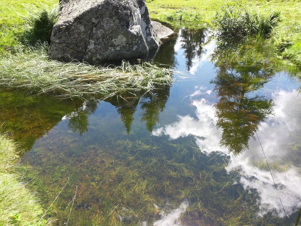 B&B Villa Ca'Praja Daone Eksteriør bilde